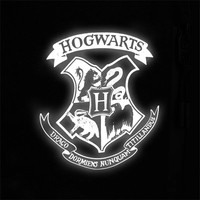 Рюкзак Kite Education teens Harry Potter 12,5 л HP25-949M