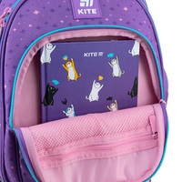 Школьный набор Kite My Little Pony Рюкзак + Пенал + Сумка для обуви SET_LP25-763S