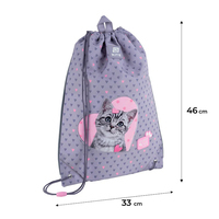 Школьный набор Kite Studio Pets Рюкзак + Пенал + Сумка для обуви SET_SP25-556M